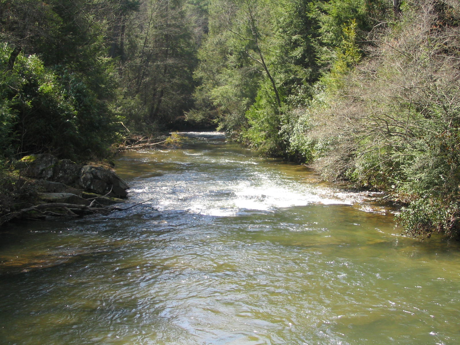 The Soque River flowing between wooded banks